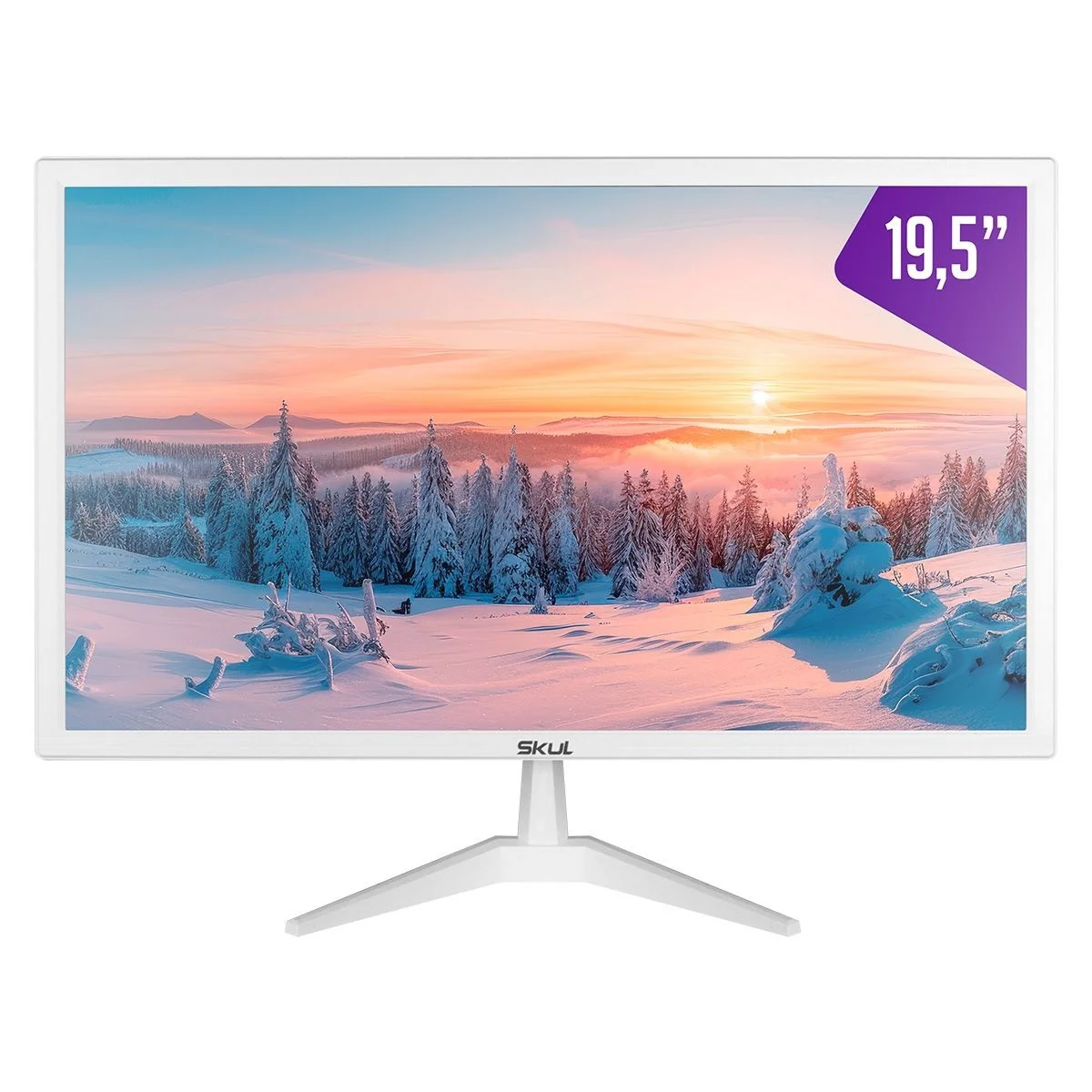 MONITOR SKUL 19,5"